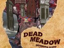 DEAD MEADOW - Shivering King And Others 2 x VINYL LP- MINT Gatefold w/inserts