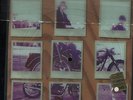 DANDY WARHOL RIDE / .LOVE YOU DUCK 1995 PICTURE LP LIMITED EDITION 8