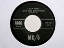 MC5 - I Can Only Give You Everything - Original 7