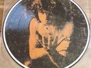 The DOORS 'PRELUDE TO DARKNESS' LP PICTURE DISC incl.HITLER,GET OFF MY LIFE