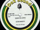 oak sound 12