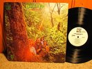 DOUGLAS FIR Hard Heartsingin' 1969 US ORIGINAL WL PROMO PSYCH LP MINT- QUAD 5002