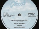 MYSTIC HARMONY Living In The Country LOVERS ROCK 12” ??