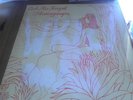 ASH RA TEMPEL - SCHWINGUNGEN OHR orig German LP RADIO DJ copy