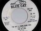 Rare Northern Soul: AD LIBS on BLUE CAT  # 123 /VG to VG+