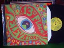 THE 13TH FLOOR ELEVATORS - PSYCHEDELIC SOUNDS MONO ORIG PSYCH IA CLASSIC