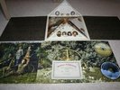 PANIC AT THE DISCO Pretty Odd Vinyl Box Set - Still Sealed - Very Limited