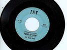 NORTHERN SOUL 45-THE BLUE JAYS-POINT OF VIEW-JAY-LISTEN