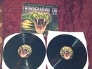 vynile thunderdome 7