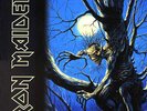 Iron Maiden - Fear of the dark 2-Lp