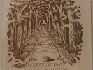 A Little Road And A Stone to Roll LP Illinois private press folk-rockrarity 1981
