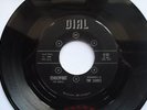 SURF TITTYSHAKER 45/ THE SABRES 