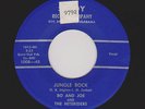 Crude Alabama Mover BO & JOE Jungle Rock SANDY 1008 VG++ HEAR BOTH SIDES