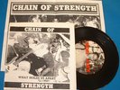 CHAIN OF STRENGTH 7in What Holds Us Apart Rejected Mix sxe gorilla biscuits 1st