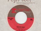 THE MOJO MEN *SHE'S MY BABY/ DO THE HANKY PANKY* US GARAGE BEAT M-