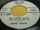 Hear Rare Northern Soul 45: Diane Minor - I'm Gonna Walk Right on Isle City 4447