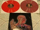 Tool Lateralus Red/Purple Marbled Vinyl LP RARE aenima deftones korn thrice isis