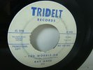 RAY AGEE Wobble-oo / There's Something RARE NORTHERN SOUL PROMO TRIDELT EX+ HEAR
