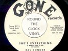 RAL DONNER ? ROCKABILLY: She's Everything / Because We're Young 45 VG++ Promo
