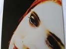 SLOWDIVE UK 1993 12