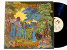 HELP YOURSELF: BEWARE THE SHADOW united artists LP / prog psych UK PRESS