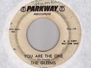 doo-wop THE GLEEMS You Are The One / Sandra Baby PARKWAY   HEAR