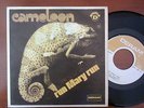 CAMELEON run mary run RARE angola press 45/7 DAVID BOWIE BACK COVER