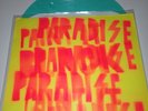 Paint It Black Paradise Lp record Release #15/25 Dave Hause Kid Dynamite Philly