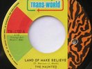 THE HAUNTED Land of make believe GARAGE PSYCH ROCK Canada 1968 TRANS-WORLD 45