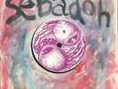 Sebadoh/Big Stick Single (1st Sebadoh vinyl/release) 1989