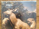 INTERPOL OUR LOVE TO ADMIRE GATEFOLD VINYL LP STILL SEALED