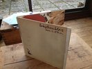 BABYSHAMBLES DOWN IN ALBION 16 TRACK VINYL LP MINT THROUGHOUT