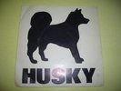 Husky - If Dreams Are..Rare 1978 UK 7
