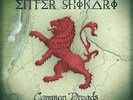 Enter Shikari - Common Dreads 12