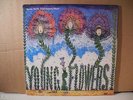 Young Flowers - Blomsterpistolen / No. 2 (DLP, DK-1979)