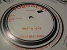 Junior Delgado What a Heat Killer 80s Roots 12