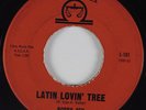 Northern Soul Unknown? 45 BOBBY REY Latin Lovin' Tree LIBRA HEAR