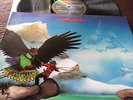 BUDGIE:NEVER TURN YOUR BACK ON A FRIEND,1973,MCA,A1/B1