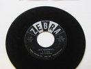 VERY RARE DOO WOP 45 Catalinas Hey Little Girl Senorita ZEBRA Z-101 LISTEN HEAR