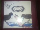 Scott Matthew - SIGNED LP 2008 