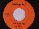 FIDELICS: Lovers In The Park / I Love You Baby 45 (upbeat flip) rare Soul