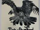 LP Tucky Buzzard - Buzzard, Purple / EMI DE 1973, 1C062-94729 Vinyl Schallplatte
