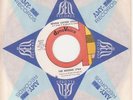 The Missing Lynx-Behind Locked Doors/Anymore-Rare 60's Garage Rock 45