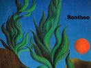 RONTHEO 1976 PRIVATE FOLK PSYCH PROG KRAUTROCK LP RARE ORIGINAL BREITKOPF
