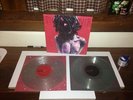 Pig Destroyer - Terrifyer - Clear Vinyl /100 Converge - Ships Next Day oop Isis