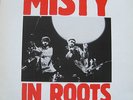 Misty in Roots    Live