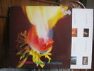 ADORABLE-AGAINST PERFECTION..RARE CREATION LP 1993 UK.NM/EX