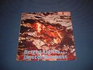 Lp Duster Bennett: Bright Light`s
