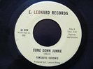 Rare US Funk 45 FANTASTIC COUSIN'S Come Down Junkie/Why Oh Why 7