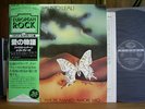 FAUSTO LEALI - AMORE DOLCE, AMORE AMARO...Italy prog VINYL LP Japan Obi IL VOLO